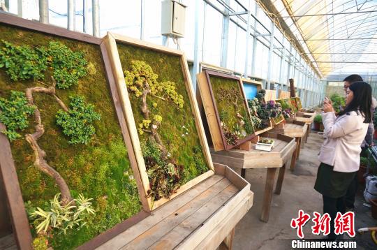 중국 정주 원예사 식물벽화 만들어…살아 있는 그림 눈길