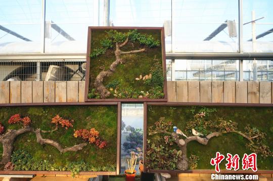 중국 정주 원예사 식물벽화 만들어…살아 있는 그림 눈길