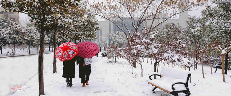 눈 덮인 중국 대학 캠퍼스 풍경들 大모음!