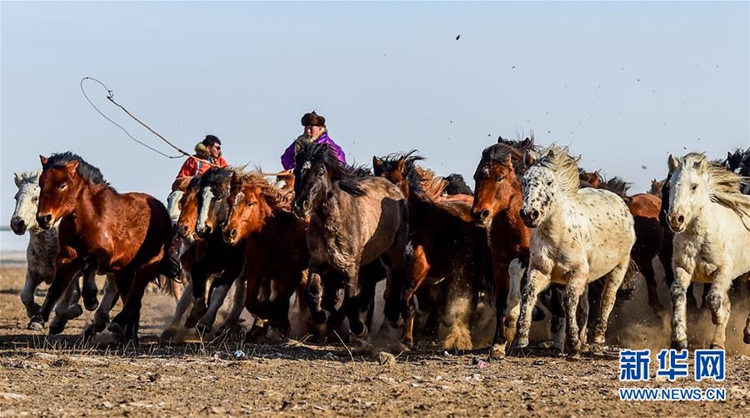 눈 덮인 초원의 중국 전통 ‘나다무’ 축제 현장, 중국의 馬문화