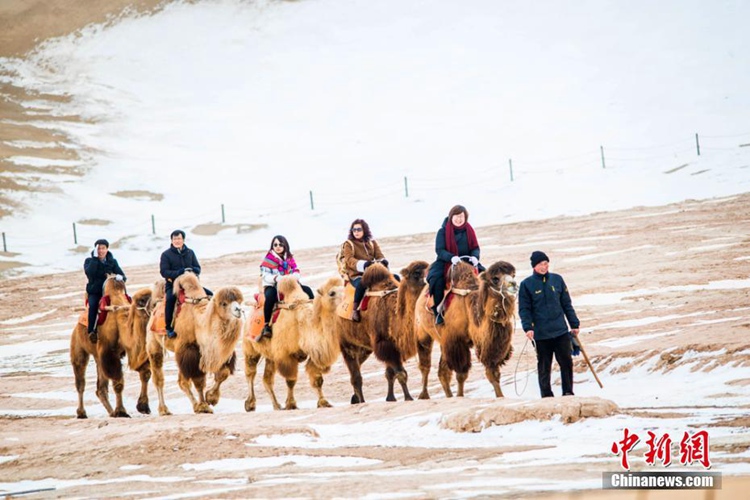1월 21일, 관광객들이 낙타를 타고 ‘사막 위에 펼쳐진 설경’을 구경하는 모습
