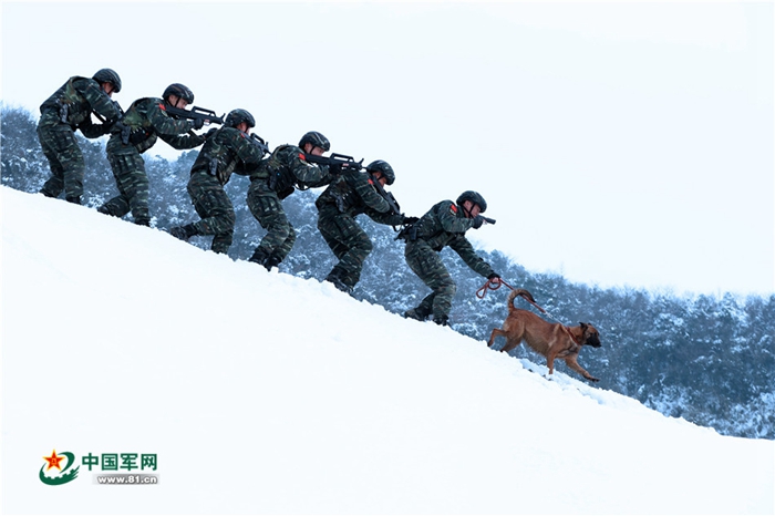 중국 무장경찰 저장총대 기동지대, 눈밭 대테러 추적 훈련 실시