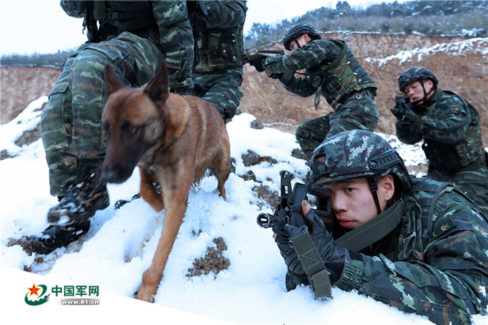 중국 무장경찰 저장총대 기동지대, 눈밭 대테러 추적 훈련 실시