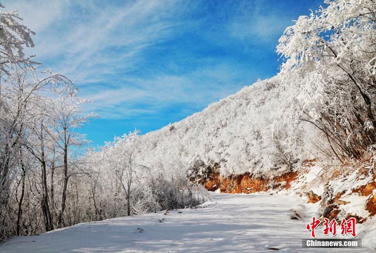 후베이 고산지역에 펼쳐진 겨울철 풍경…상고대 현상 환상적