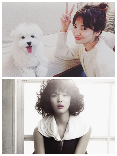 ‘미스티’ 진기주 동안 외모 화제…송지효 자오리잉 저우쉰 등 ‘미(美)의 기준’을 실증하는 중한 동안미인 한눈에