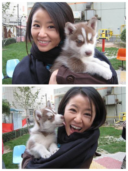‘키스 먼저 할까요’ 김선아, 감우성의 반려견과 악수하는 모습 공개…중한 연예인들의 강아지와의 귀여운 순간들!