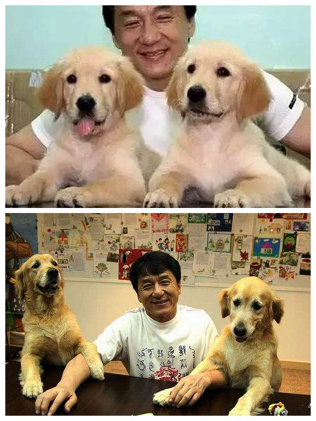 ‘키스 먼저 할까요’ 김선아, 감우성의 반려견과 악수하는 모습 공개…중한 연예인들의 강아지와의 귀여운 순간들!