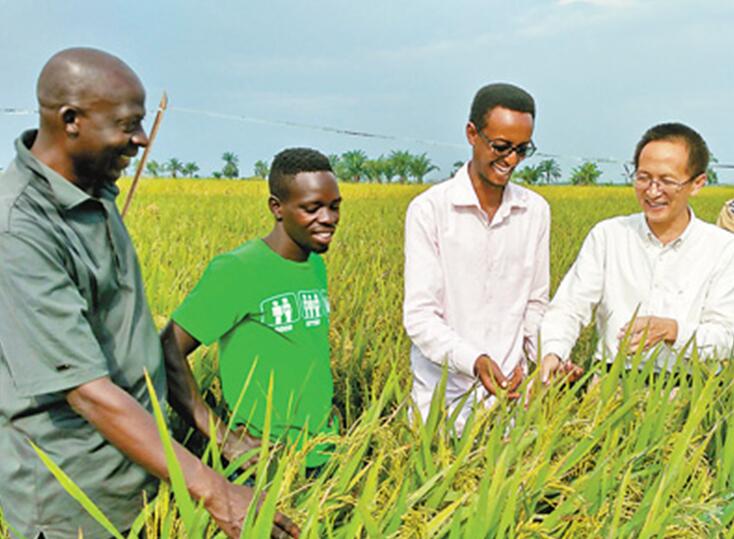 중국 아프리카 14개국에서 농업기술보급시범센터 건설