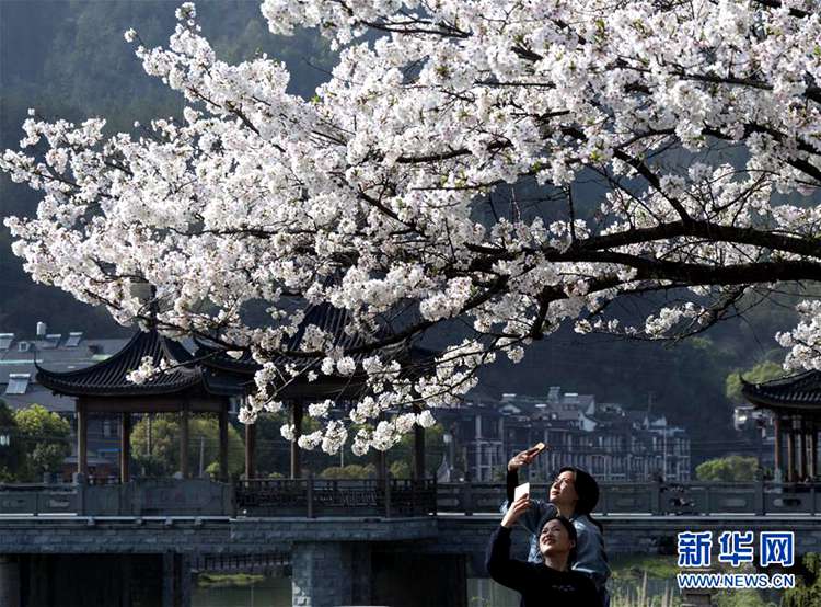 봄기운 찾아온 중국, 봄에 펼쳐진 그림 같은 풍경