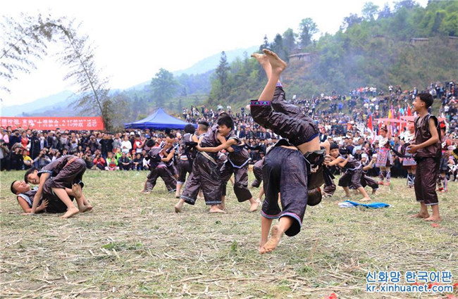 구이저우 리핑: 동족 마을 즐거운 씨름 축제