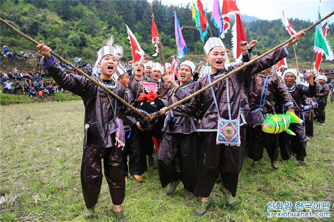 구이저우 리핑: 동족 마을 즐거운 씨름 축제