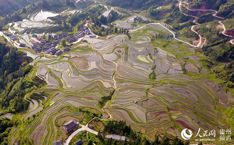 중국 구이저우 충장의 봄, 알록달록 계단식 밭 눈길