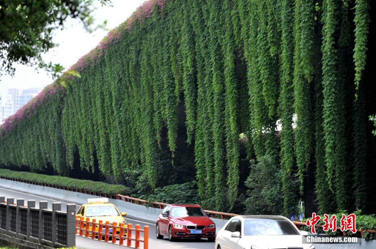 중국 푸저우 입체교차로의 ‘녹색 옷’, 먼지 줄이고 온도 낮춰