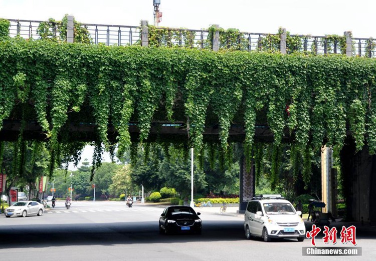 중국 푸저우 입체교차로의 ‘녹색 옷’, 먼지 줄이고 온도 낮춰