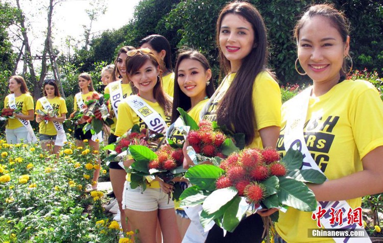 미스 투어리즘 퀸 인터내셔널 결선에 진출한 미녀 참가자들의 포즈