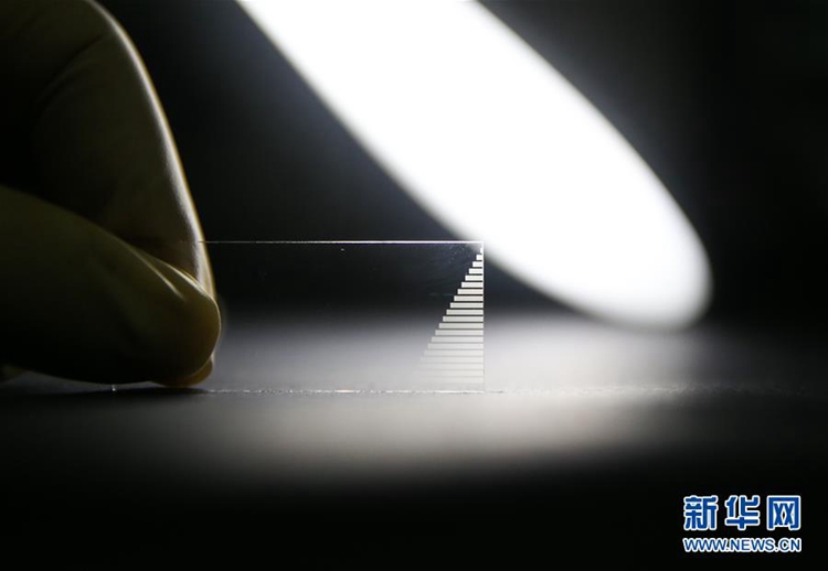 중국 과학자들이 만들어낸 대규모 광양자 컴퓨팅 칩