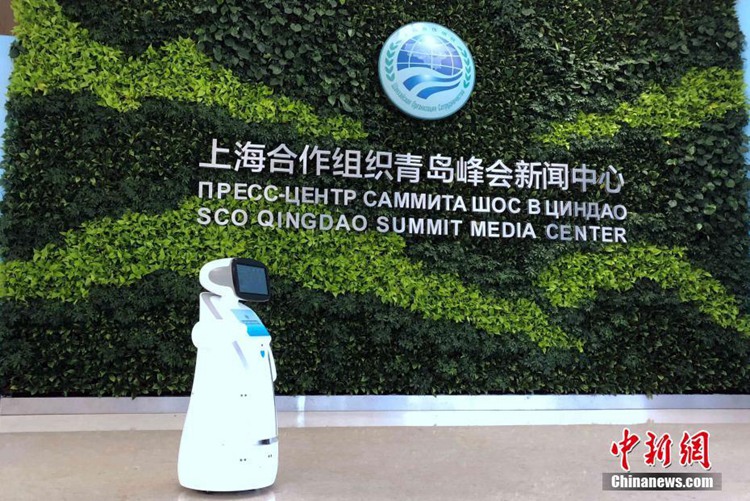 SCO 칭다오 정상회의 프레스센터에 도입된 ‘로봇 직원’