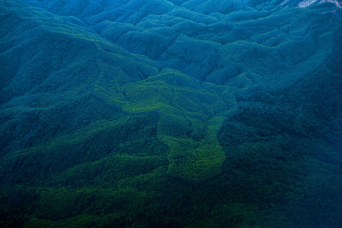중국 산림 사진작품전…천하절경이 따로 없네