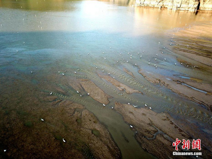 황허강 수위 조절로 강 바닥 노출, 한 폭의 유화 탄생 