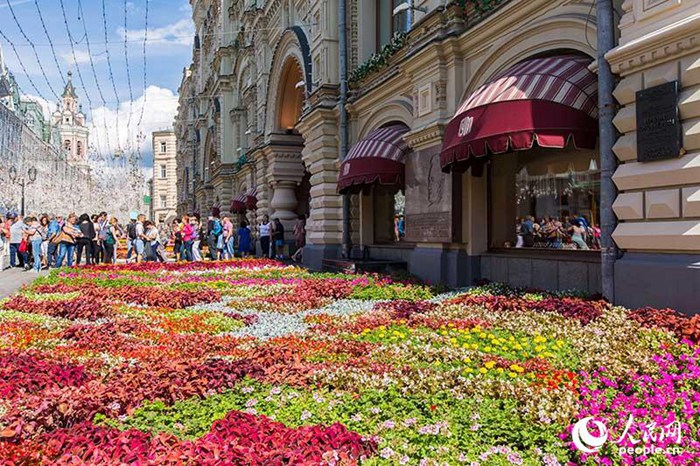 모스크바 꽃 축제 한창, 관광객들 눈길 사로잡아