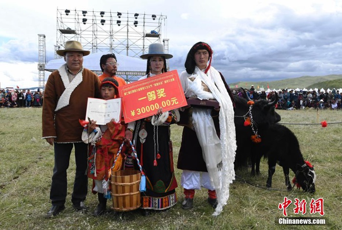 중국 쓰촨 훙위안 대초원에서 개최된 ‘야크 미인 선발대회’