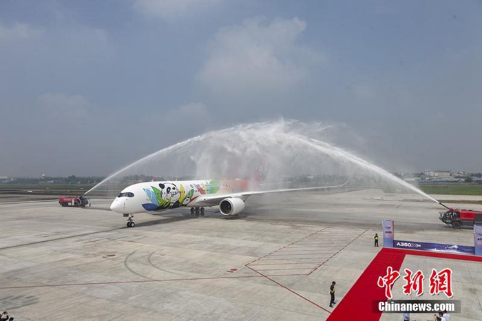 ‘가장 귀여운’ 쓰촨항공 1호 A350 여객기, 자이언트판다로 기체 도색