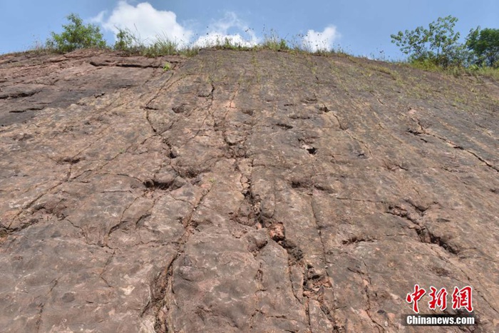 구이저우서 쥬라기 초기 대규모 공룡 발자국 발견