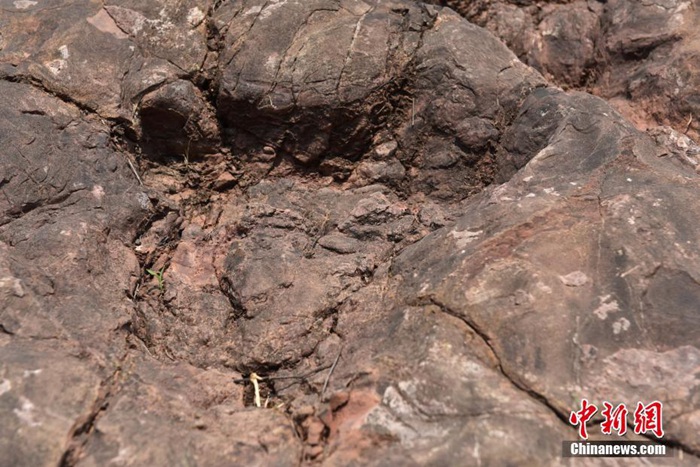 구이저우서 쥬라기 초기 대규모 공룡 발자국 발견