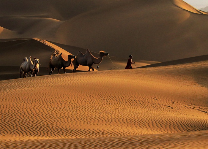 中 신장 쿠무타거, 황금빛 사막이 연출한 자연의 경이로움