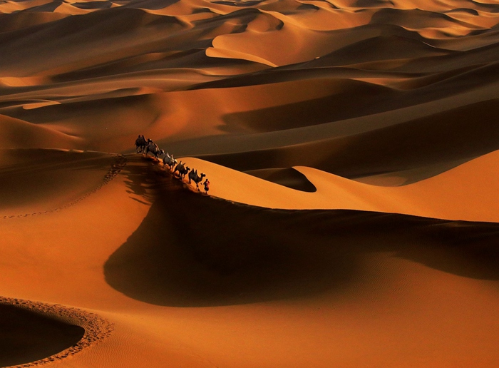 中 신장 쿠무타거, 황금빛 사막이 연출한 자연의 경이로움