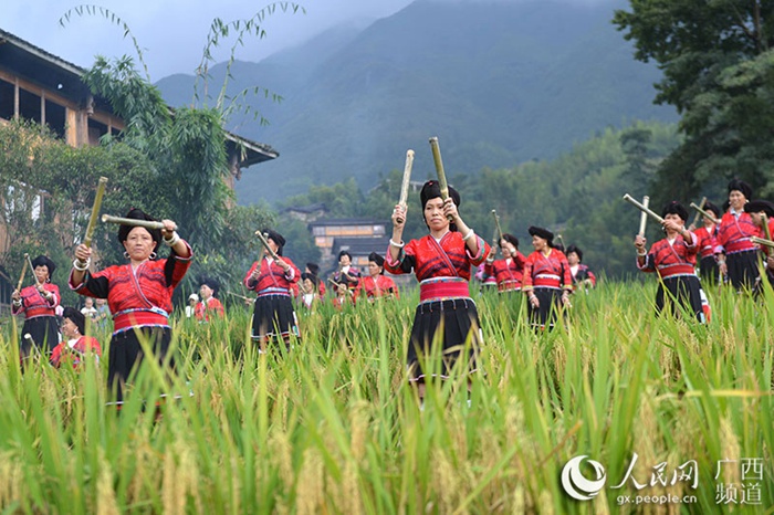 중국 광시 룽성현, 소수민족들의 다양한 추석 행사