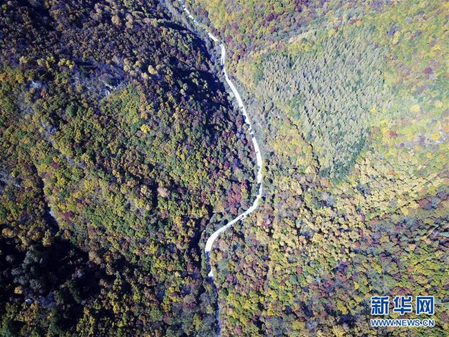 10월 노랗게 물든 중국 청더, 짙은 가을색 더해가는 대자연
