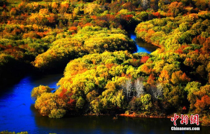 네이멍구 후룬베이얼의 가을, 한 폭의 그림 같은 풍경