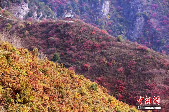 간쑤 ‘꽃바위 절벽’ 단풍 절정, 그림 같은 가을 풍경