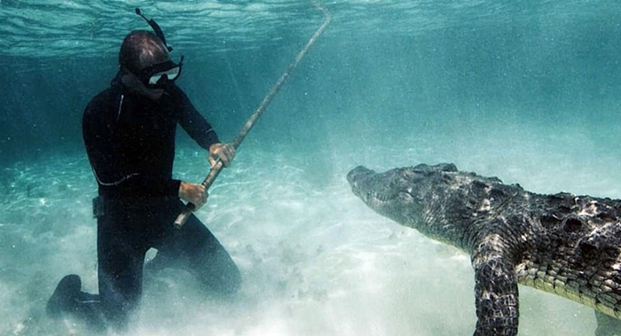 멕시코 잠수부들과 떠나는 ‘악어 여행’