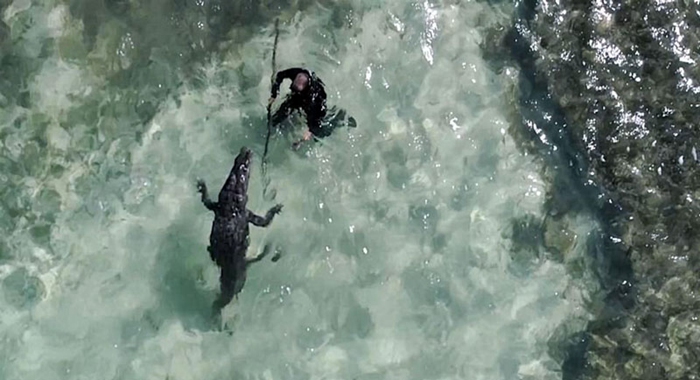 멕시코 잠수부들과 떠나는 ‘악어 여행’