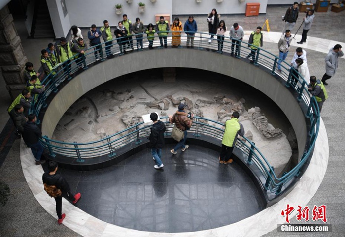 쓰촨 쯔궁 공룡박물관 탐방기…쥐라기시대 화석 최다 보유