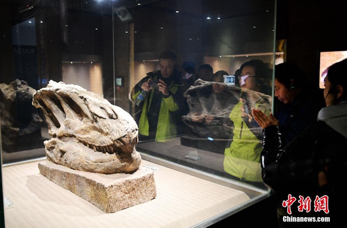쓰촨 쯔궁 공룡박물관 탐방기…쥐라기시대 화석 최다 보유