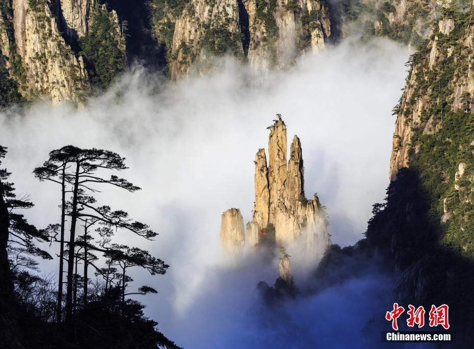 황산(黃山)산은 독특한 모양의 소나무와 바위, 운해로 유명하다. 운해를 뚫고 나온 산봉우리의 모습은 다섯 손가락을 연상시키기도 한다. [촬영: 예융칭(葉永淸)]