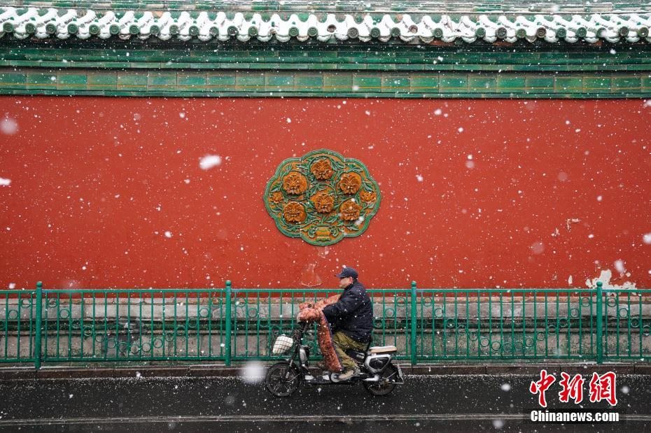 한 시민이 자전거를 타고 푸청먼네이다제(阜成門內大街)를 지나는 모습[촬영: 중국신문사 추이난(崔楠) 기자]