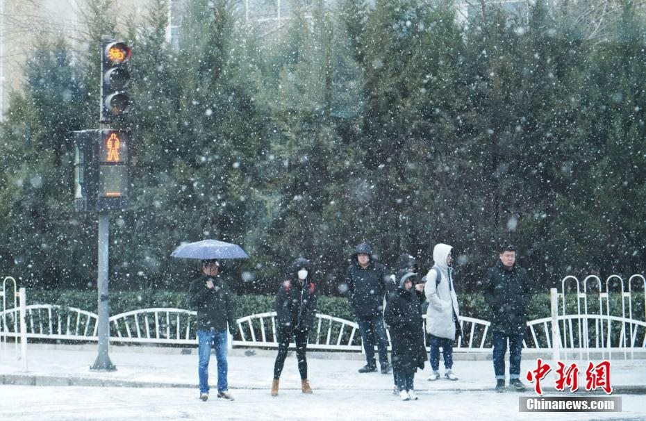 2월 12일 베이징에 큰 눈이 내렸다. [촬영: 중국신문사 장싱룽(張興龍) 기자]