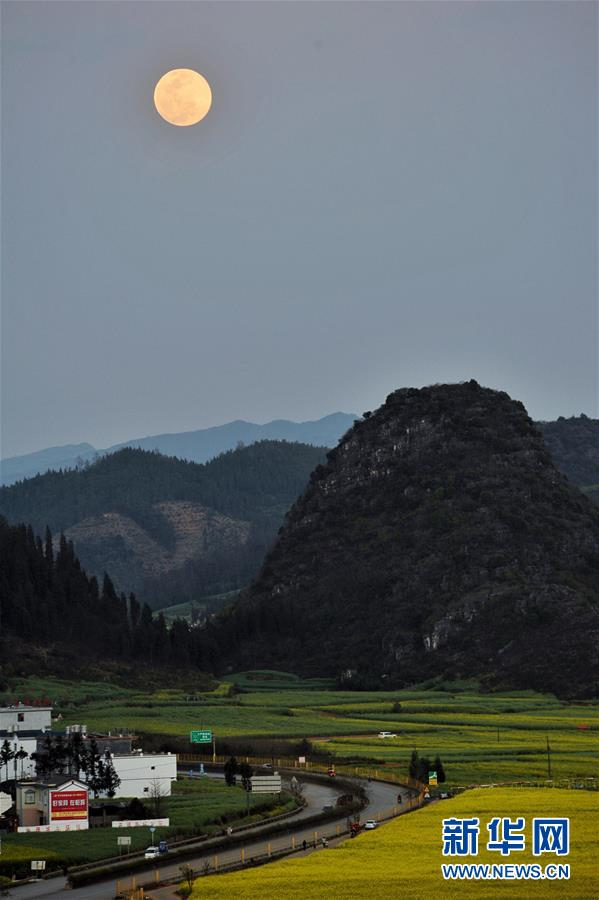 2월 19일 윈난(雲南)성 뤄핑(羅平)현 진지펑(金雞峰)에 만개한 유채꽃 위로 보름달이 떠올랐다. [촬영: 신화사 친칭(秦晴) 기자]