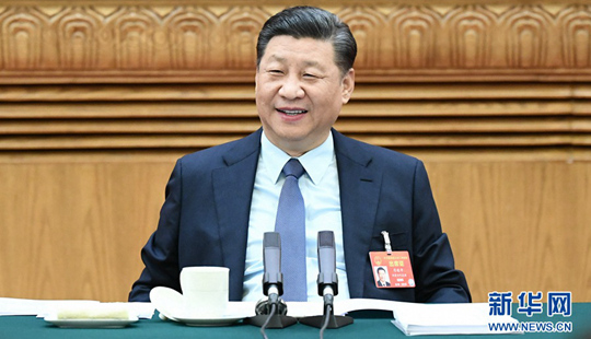 시진핑, 허난 대표단 심의 참석