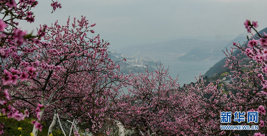 우샤(巫峽)의 봄[사진 출처: 신화망/촬영: 주윈핑(朱雲平)]