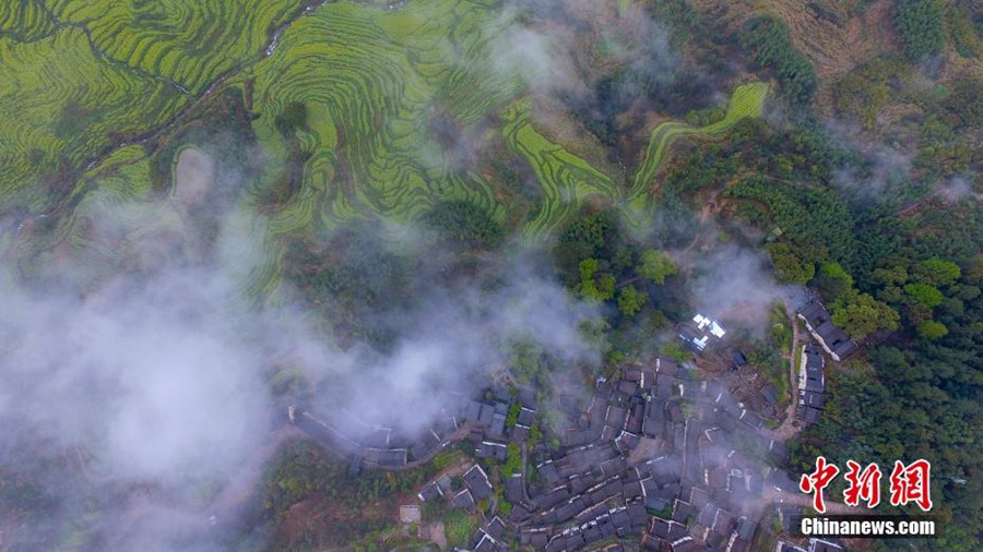 3월 비가 온 후 날이 갠 마을 모습 [사진 출처: 중국신문망/촬영: 팡화빈(方華彬)]