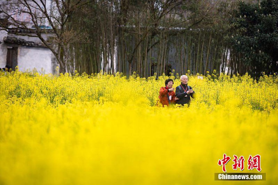 꽃밭에서 사진을 찍는 관광객들 [사진 출처: 중국신문망/촬영: 리신바오(李鑫保)]