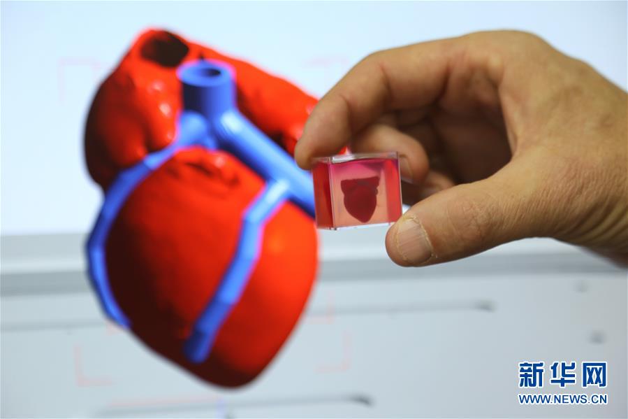 연구원이 3D 심장을 보여주고 있다. [사진 출처: 신화사/Gini Pictures]