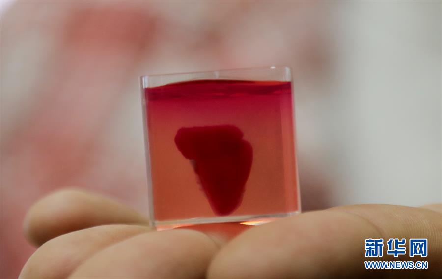 4월 15일 이스라엘 텔아이브대에서 촬영한 3D 심장[사진 출처: 신화사/Gini Pictures]
