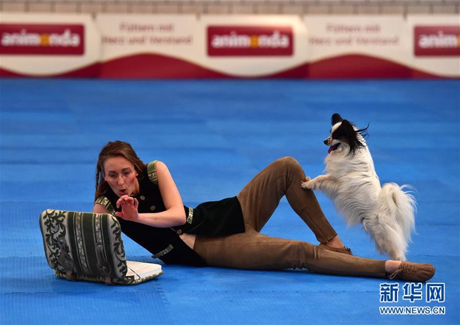 5월 19일 독일 도르트문트에서 개최된 애완동물 박람회, 한 여성이 강아지와 함께 댄스 대회에 참가했다. [촬영: 신화사 루양(逯陽) 기자]