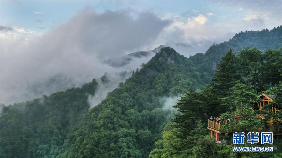 관광객들이 우룽둥(五龍洞) 국가삼림공원의 후롱타이(呼龍臺)에서 풍경을 감상하고 있다.  [사진 출처=신화망] 